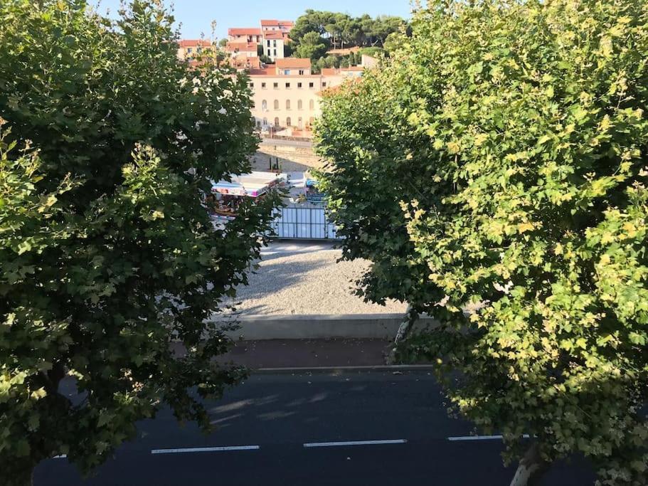 Appartement Studio Bon Dia/Balcon/Proche Criques Et Collioure à Port Vendres Extérieur photo